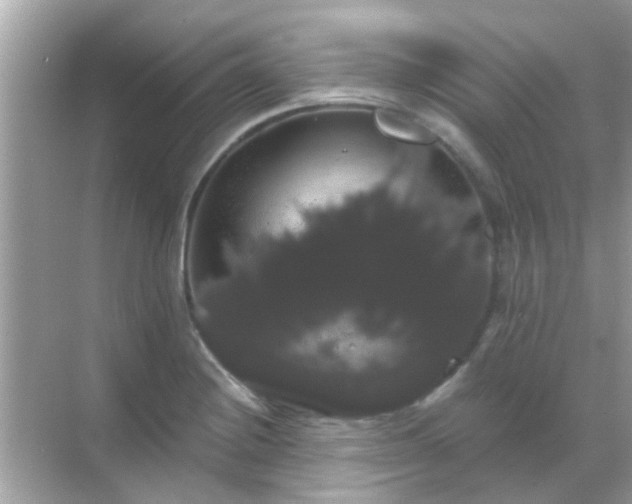 X0000068291228200605051859