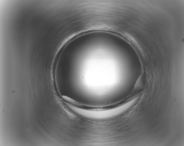 X0000068291230200605051859