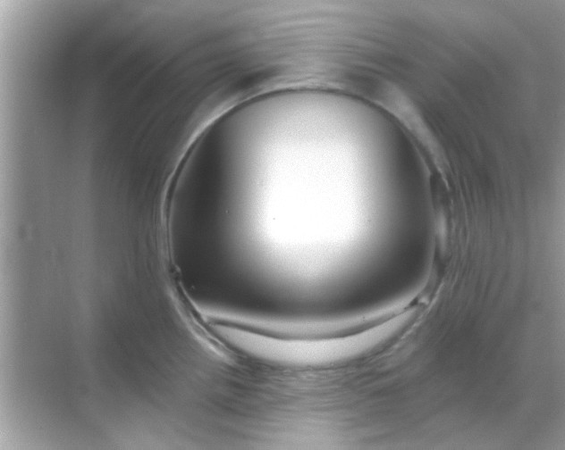 X0000068291242200605051859