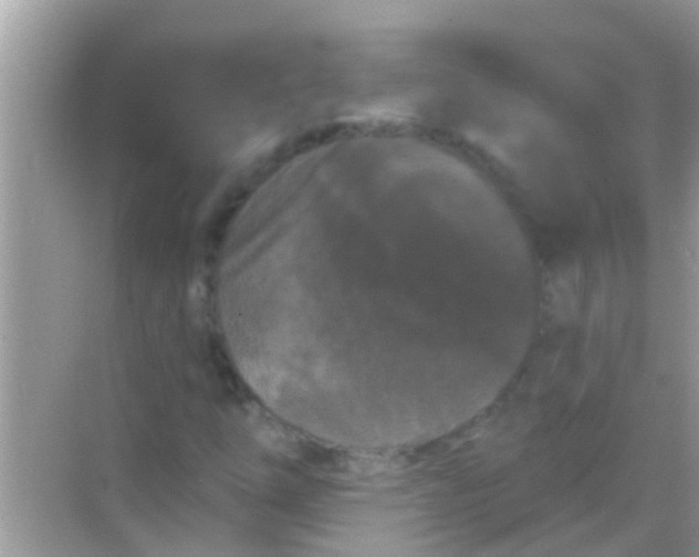 X0000068291254200605051858