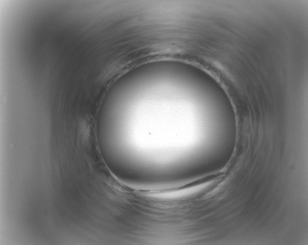 X0000068291257200605051858