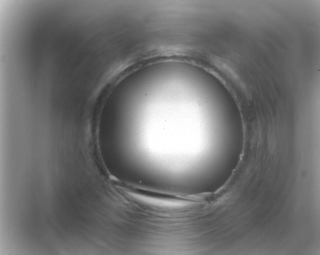 X0000068291261200605051858