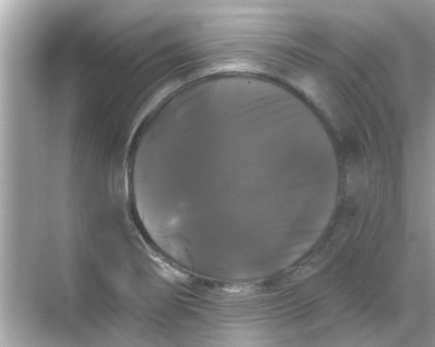 X0000068291274200605051858