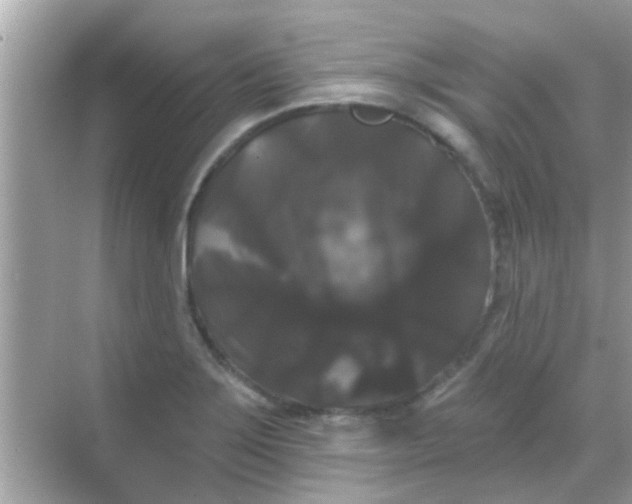X0000068291275200605051858