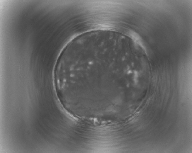 X0000068291283200605051858