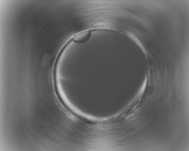 X0000068291291200605051857