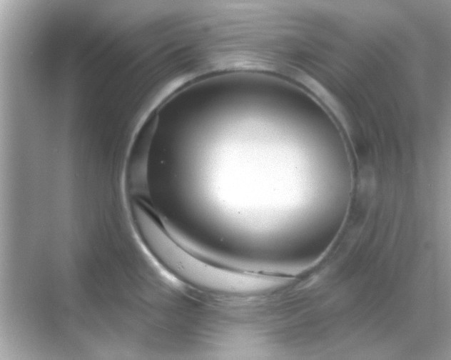 X0000068291293200605051857