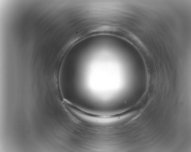 X0000068291321200605051857