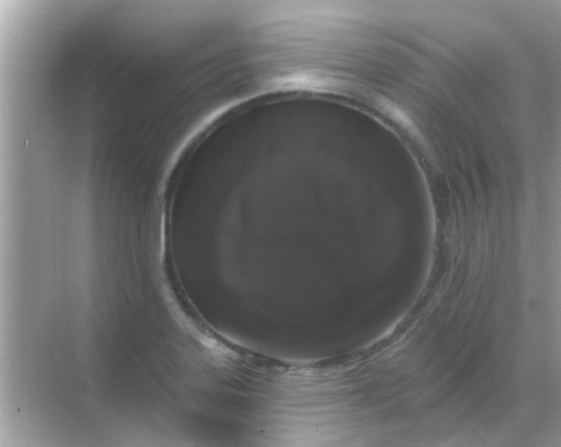 X0000068291323200605051857