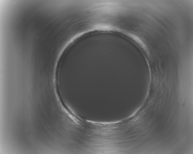 X0000068291327200605051857