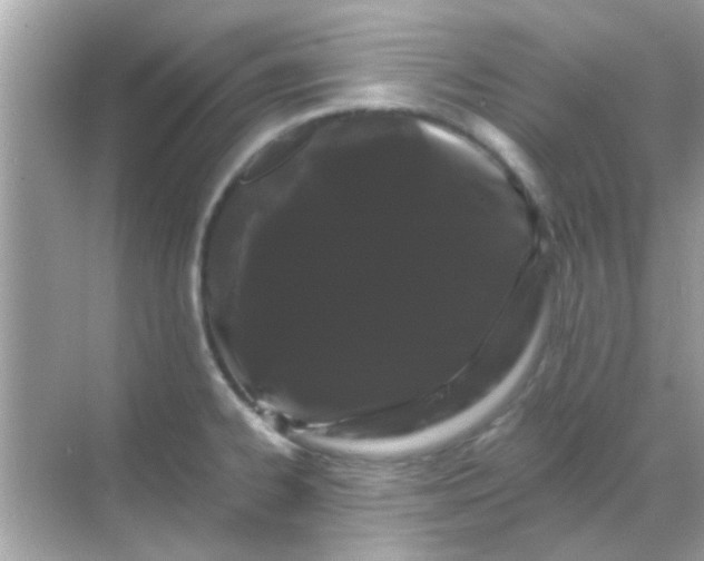 X0000068291334200605051857