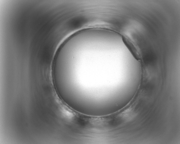 X0000068291336200605051857