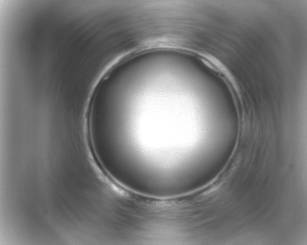 X0000068291341200605051857