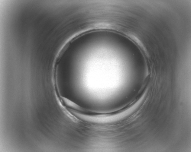 X0000068291342200605051857