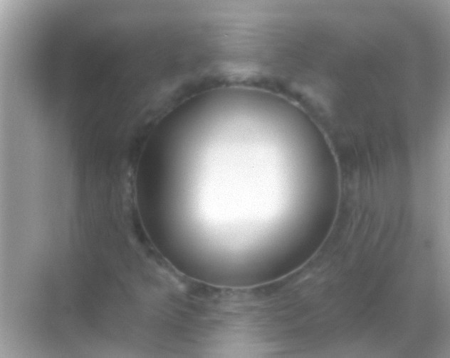 X0000068291349200605051857