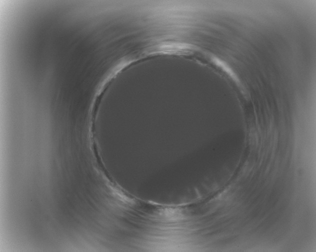 X0000068291362200605051856