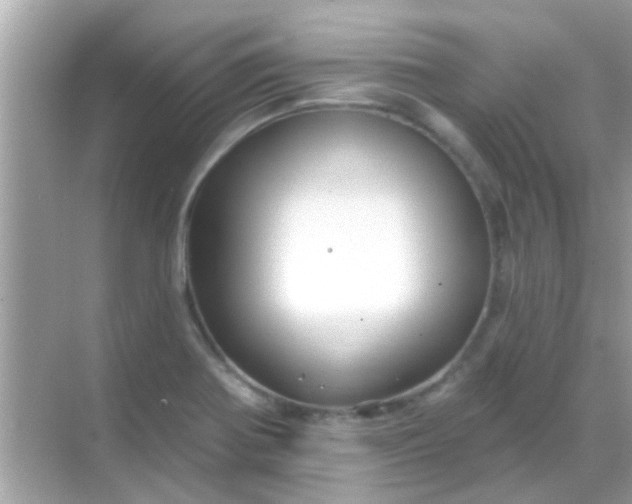 X0000068291370200605051856