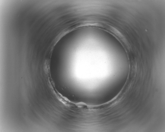 X0000068291377200605051856