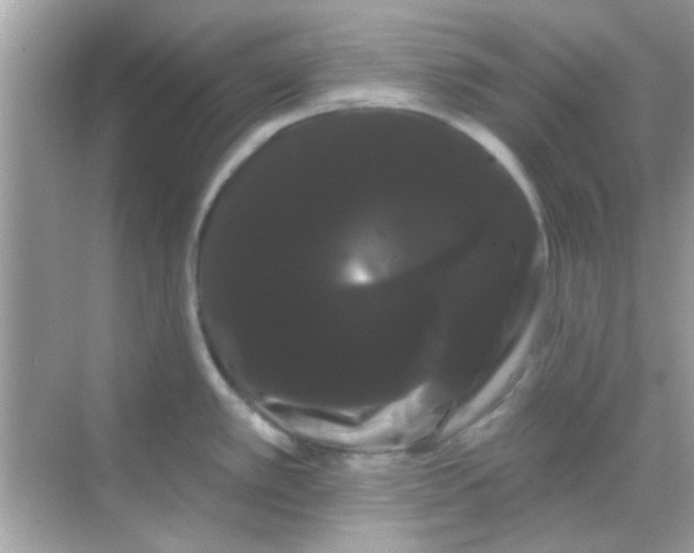 X0000068291389200605051856