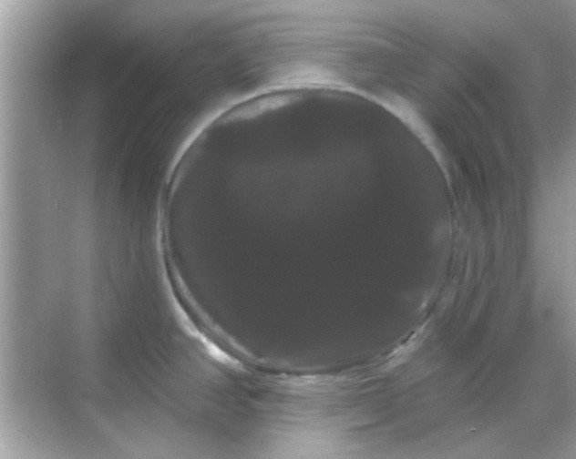 X0000068291390200605051856