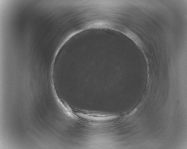X0000068291392200605051856