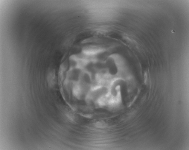 X0000068291395200605051855