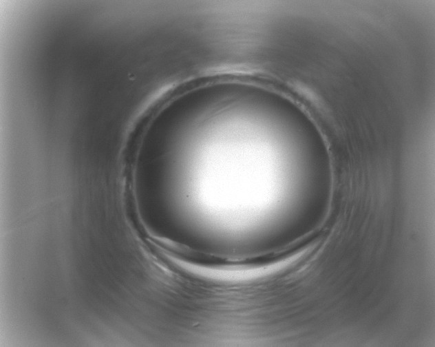 X0000068291406200605051855