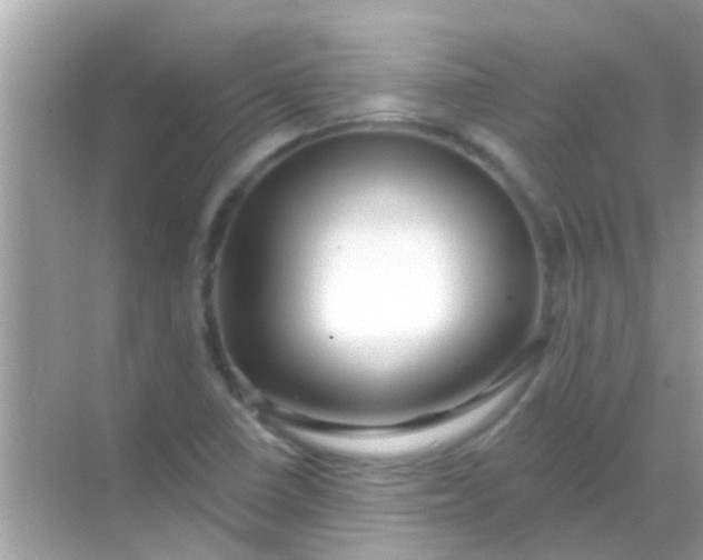 X0000068291410200605051855