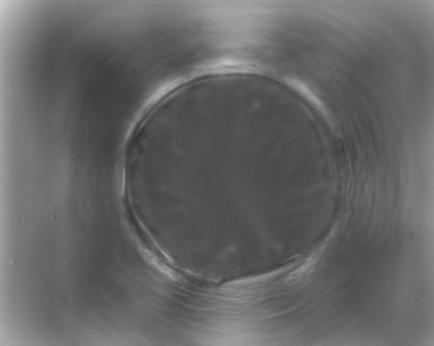 X0000068291413200605051855