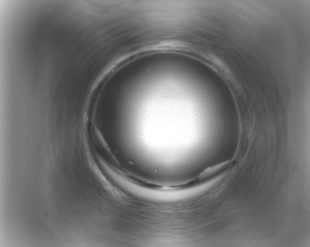 X0000068291422200605051855
