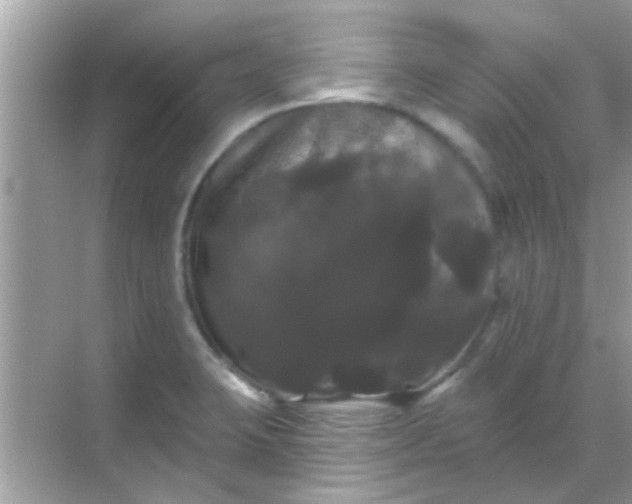 X0000068291423200605051855