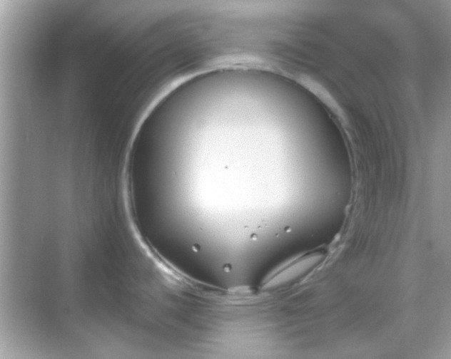 X0000068291440200605051856