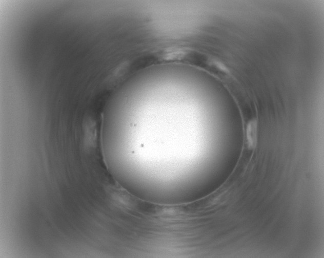 X0000068291443200605051855
