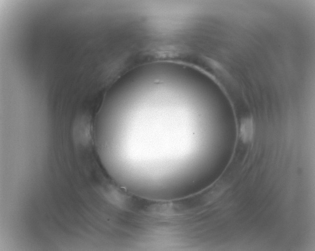 X0000068291444200605051855