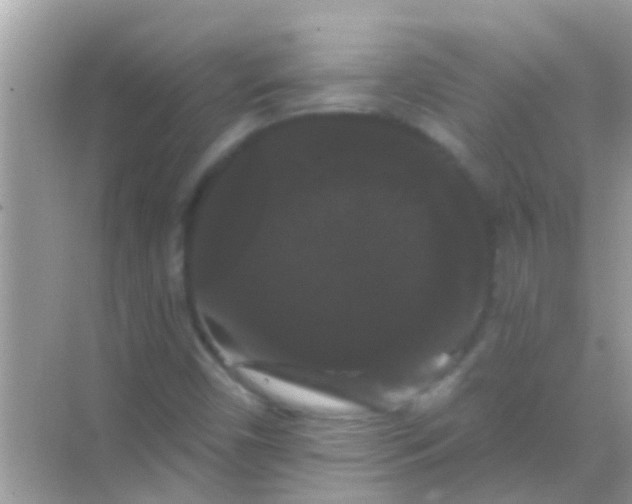 X0000068291450200605051855