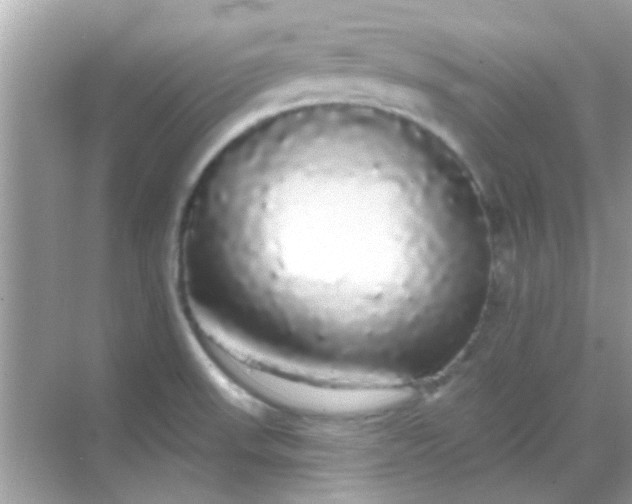 X0000068291523200605051854