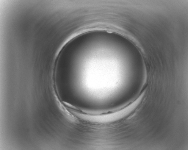 X0000068291530200605051854