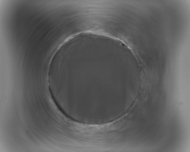 X0000068290002200605121950