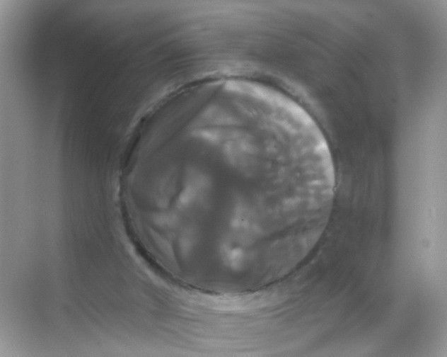 X0000068290010200605121950