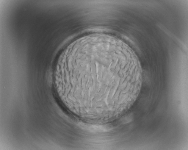 X0000068290016200605121950