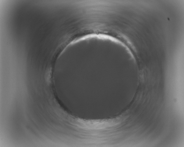 X0000068290018200605121950