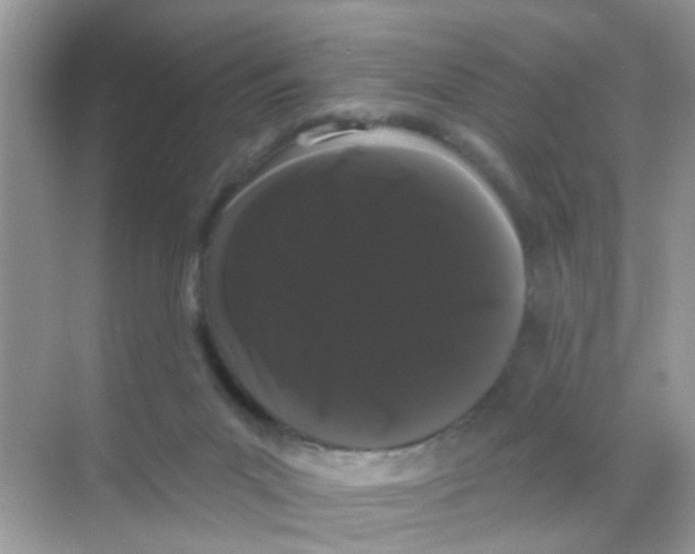 X0000068290023200605121950