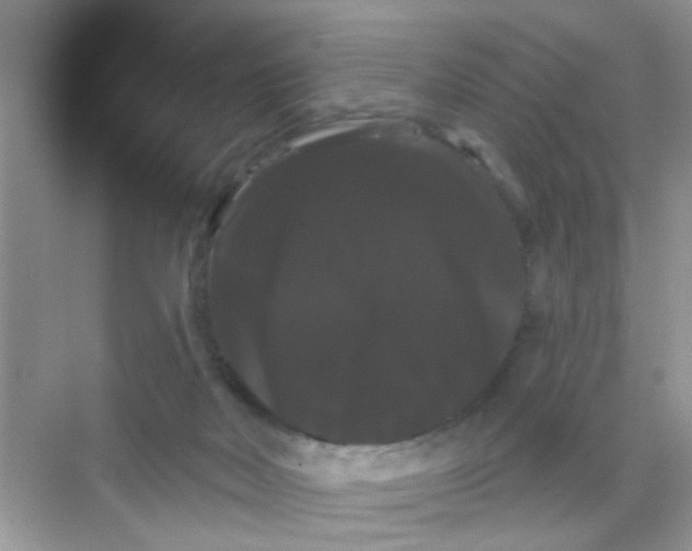 X0000068290026200605121949