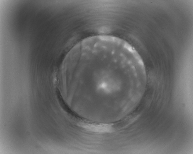 X0000068290032200605121949