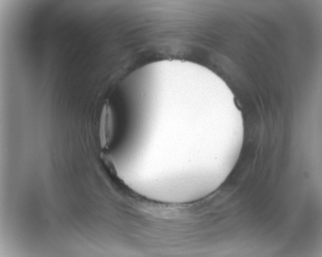 X0000068290040200605121949