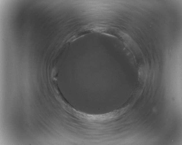 X0000068290046200605121949