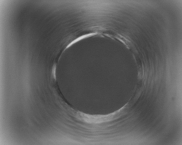 X0000068290047200605121949
