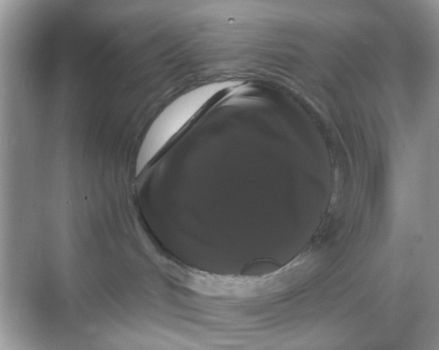 X0000068290048200605121949