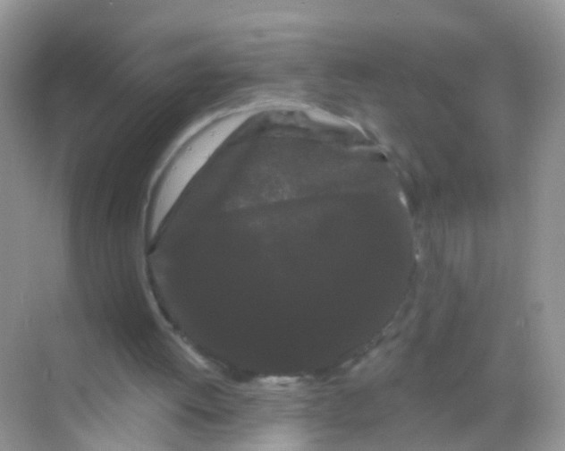 X0000068290052200605121948