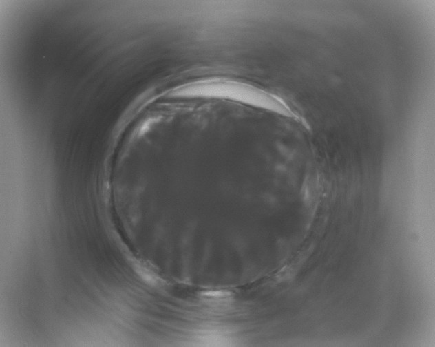 X0000068290053200605121948